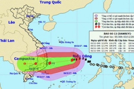 Nhiều địa phương di dời các hộ dân khỏi vùng chịu ảnh hưởng mạnh của báo số 12