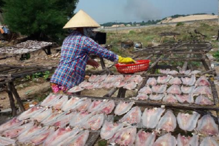 Bà Rịa-Vũng Tàu: Phát hiện chất cấm Trichlorfon có thể gây chết người trong cá