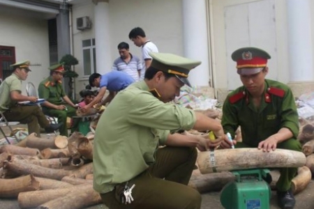 Thanh Hóa: Kiểm tra, phát hiện hơn 5.300 vụ vi phạm buôn lậu, gian lận thương mại