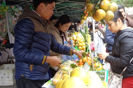 Khai mạc Hội chợ Cam Hưng Yên 2017