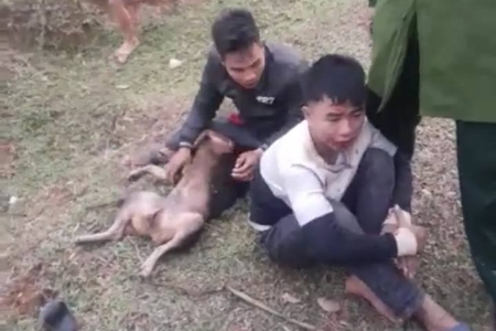 Hai đối tượng trộm chó bị người dân đánh trọng thương