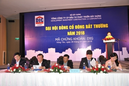 Bà Rịa - Vũng Tàu: DIC Corp tái cấu trúc doanh nghiệp ngay sau khi thoái vốn nhà nước