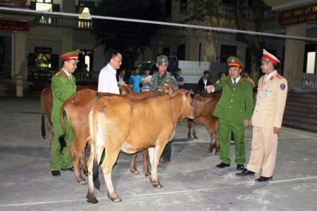 Nghệ An : Bắt đối tượng gây ra hàng loạt vụ trộm “đầu cơ nghiệp”