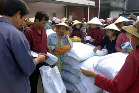 Xuất gạo dự trữ quốc gia cho tỉnh Ninh Thuận