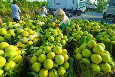 Ngành Nông nghiệp: Ba khâu đột phá