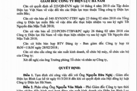 Tạm đình chỉ Giám đốc Điện lực Bình Lục đi lễ chùa giờ hành chính