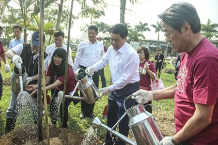 Thêm 500 cây hoa anh đào Nhật Bản được trồng tại Hà Nội