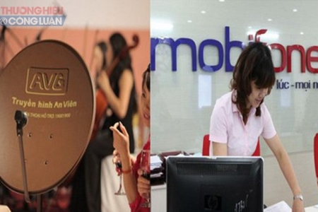 Thanh tra Chính phủ: Thiệt hại do Mobifone mua nợ phải trả của AVG là 1.134 tỉ đồng