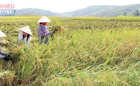 Huyện Thanh Ba (Phú Thọ): Khởi sắc những làng quê