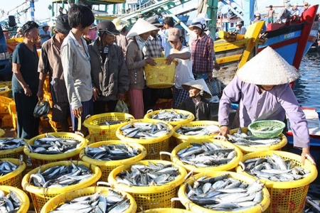 Triển khai thi hành Luật Thủy lợi