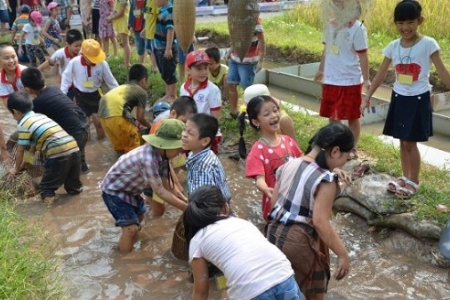 Du lịch nông nghiệp, trang trại đang có xu hướng phát triển