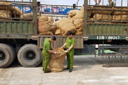 Lạng Sơn: Thu giữ hơn 8.000 kg thuốc lá sấy khô, không rõ nguồn gốc