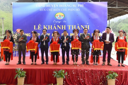 Hà Giang: Khánh thành nhà máy chế biến chè hữu cơ xuất khẩu với công nghệ hiện đại