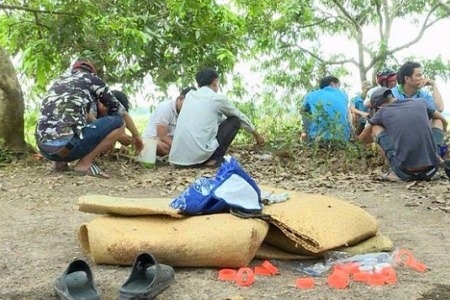 Hóa trang thành nông dân, cảnh sát phá tan tụ điểm đá gà giữa cánh đồng