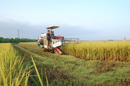 Giao Thủy - Nam Định: Huyện thứ 50 đạt chuẩn huyện nông thôn mới