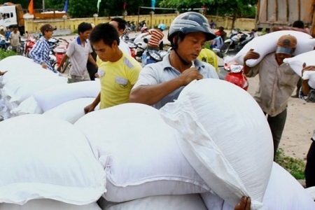 Hỗ trợ hơn 900 tấn gạo cho tỉnh Thanh Hóa và Yên Bái