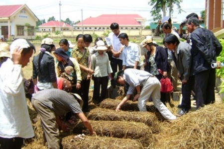 Vĩnh Phúc: Dự kiến đào tạo nghề cho 3.291 lao động nông thôn trong năm 2018