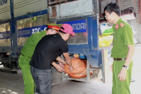 Nghệ An: Thu giữ Hơn 200 kg nội tạng động vật bốc mùi hôi thối trên xe tải