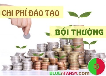 Một chuyên viên phải đền bù 214 triệu chi phí đào tạo vì tự ý nghỉ việc