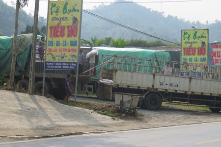 Hà Giang: Khó khăn trong việc xử lý các trường hợp xe quá tải vượt trạm cân