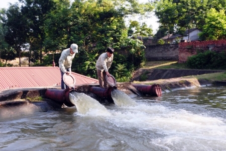 Vĩnh Phúc: Đầu tư 129 tỷ đồng cải tạo luồng tiêu nội đồng