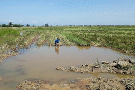 Quảng Trị: Đi bắt ốc, cháu bé 9 tuổi rơi xuống hố công trình chết đuối thương tâm