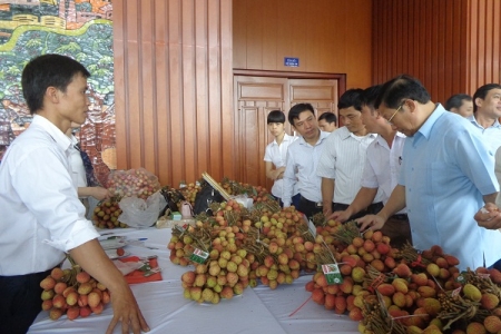 Hưng Yên: Đẩy mạnh xúc tiến tiêu thụ sản phẩm nông nghiệp, CNNT