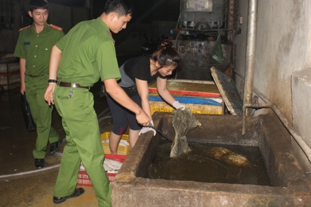 'Hô biến' nội tạng bò bằng hóa chất rồi đem tiêu thụ