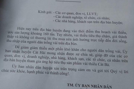 Huyện Cát Hải (TP. Hải Phòng): Chủ tịch huyện kêu gọi hỗ trợ tiêu thụ vải Cát Bà