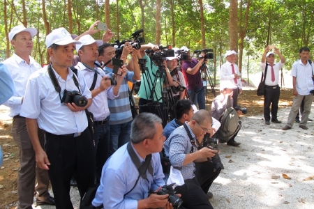 Tản mạn chữ nghĩa thời hội nhập