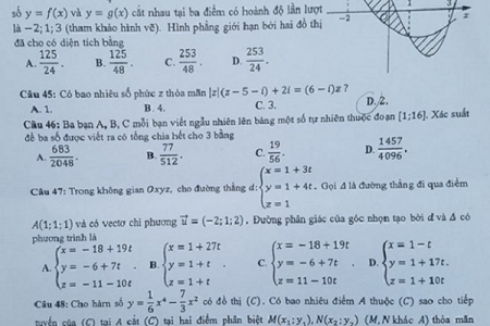 Đáp án đề thi môn Toán, kỳ thi THPT quốc gia 2018