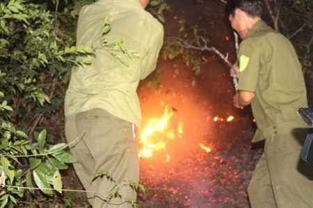 Hà Nam: Cháy hơn 4,3ha rừng keo, bạch đàn