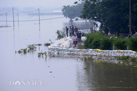 Hà Nội: Hơn 6.000 người phải sơ tán vì nước sông Bùi trên mức báo động 3