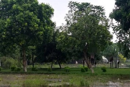 Hà Nội: Phát hiện người đàn ông tử vong trong tư thế treo cổ ở hồ Đền Lừ