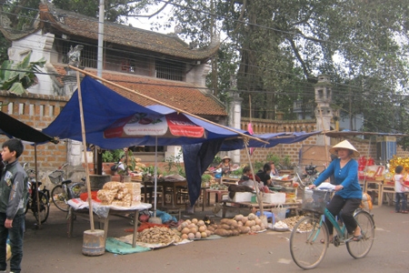 Ban giám sát đầu tư của cộng đồng là 'tai mắt' của dân