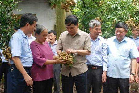 Hưng Yên: Bác bỏ thông tin nhãn nhúng lưu huỳnh