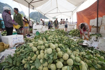 Ngày hội Na Chi Lăng 2018