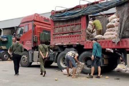 Giật mình với công nghệ phù phép nông sản Trung Quốc thành sản phẩm nổi tiếng trong nước