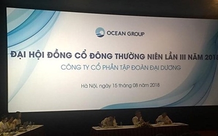 Ocean Group công bố bổ nhiệm Phó Chủ tịch mới