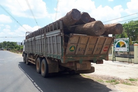 Bắt giữ hạt trưởng hạt kiểm lâm huyện Cư Mgar trong đường dây buôn gỗ lậu của Phượng “râu”