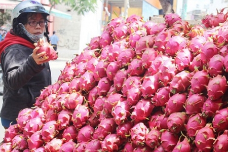 Nguyên nhân nông sản Việt gặp khó tại thị trường Trung Quốc?