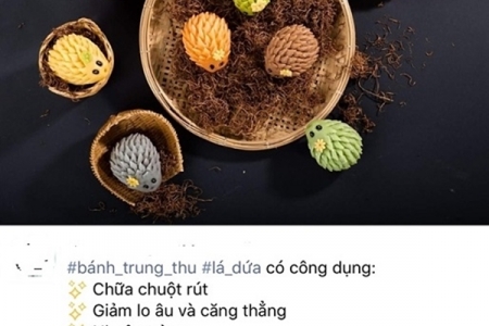 Thực hư việc ăn bánh trung thu có khả năng chữa bệnh đang được quảng cáo trên mạng