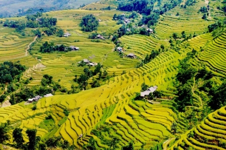 Qua miền di sản ruộng bậc thang Hoàng Su Phì