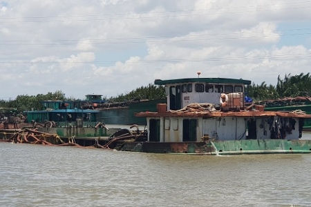 'Cát tặc' hoành hành, cù lao Rùa đứng trước nguy cơ bị xẻ đôi