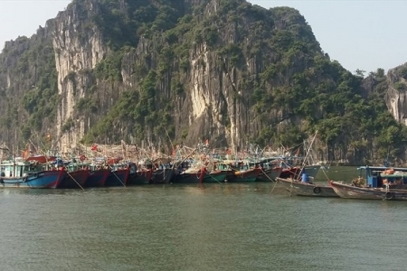 Siêu bão Mangkhut: Quảng Ninh thực hiện ‘cấm biển’, học sinh toàn tỉnh nghỉ học tránh bão