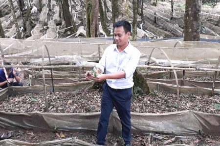 Thăm “Nữ hoàng” sâm Ngọc Linh