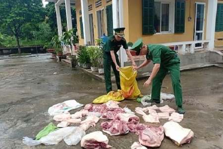 Ngăn chặn nhập lậu lợn, thịt lợn vào nội địa