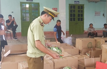 Lạng Sơn: Thu giữ gần 600 kg bánh, kẹo nhập lậu