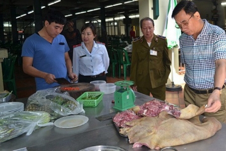 Hà Nội lập đường dây nóng tiếp nhận thông tin về dịch tả lợn châu Phi