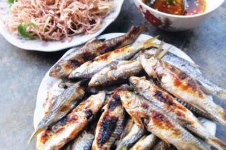 Quảng Nam: Tạo giống và nuôi thương phẩm cá niên